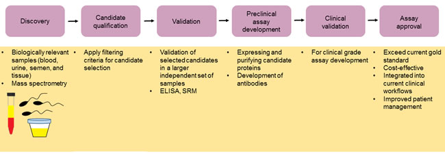 The journey to clinical implementation.