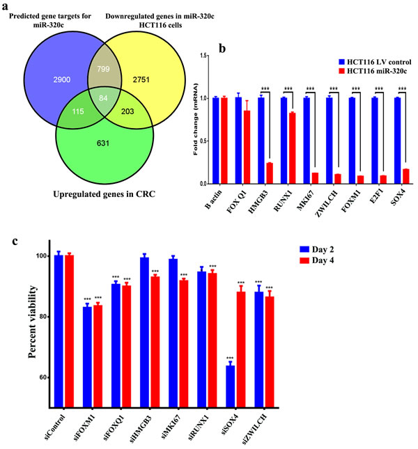 Identification of the clinically-relevant miR-320c target genes in CRC.
