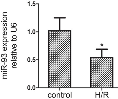 The expression of miR-93 in H9c2 cells by qRT-PCR after H/R treatment.