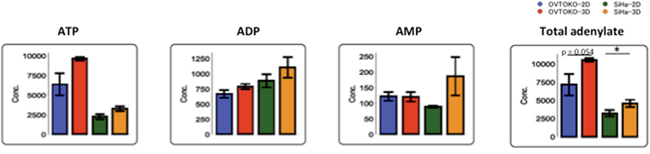 Changes in adenylates according to culture conditions.