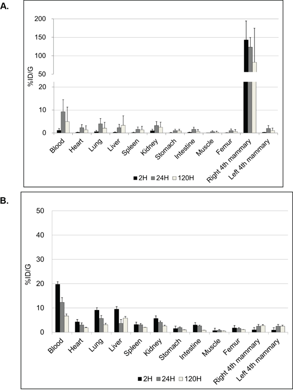 Biodistribution of trastuzumab.