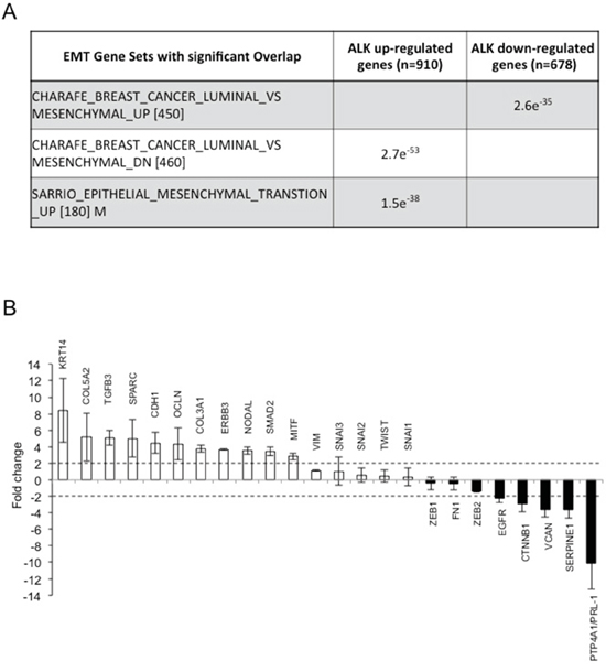 ALK oncogenic activity regulates EMT in ALK-rearranged NSCLC.