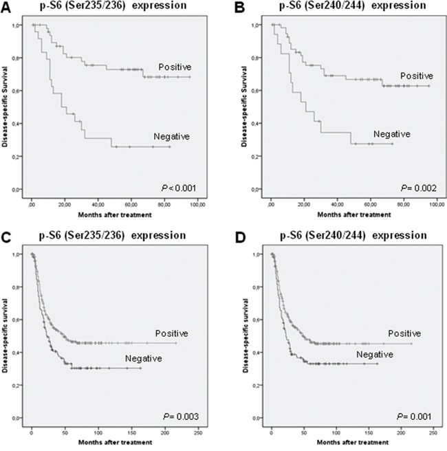 mTOR activation is associated with favorable prognosis in HNSCC patients.