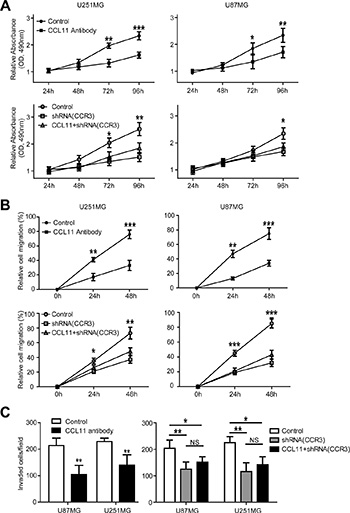 CCL11/CCR3 stimulated proliferation, migration, and invasion in GBM cells.