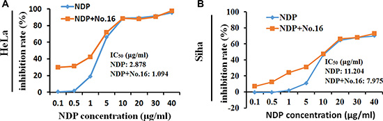 No. 16 inhibitor sensitized cell response to nedaplatin.