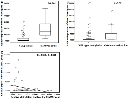 CTNNA1 mRNA levels and methylation levels in AML patients.