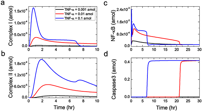 Sensitivity of the core protein activation to TNF-&#x03B1; stimulation.