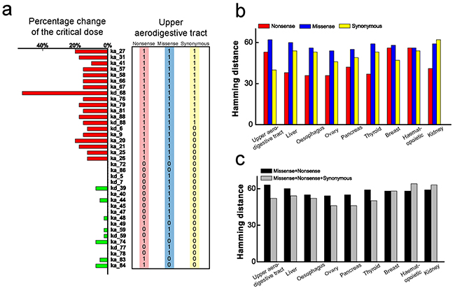 Comparison between parameter sensitivity and the corresponding cancer-related mutations.