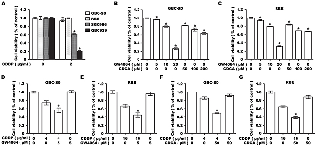 Farnesoid X receptor agonist GW4064 or CDCA enhances the sensitivity of GBC-SD and RBE cells to CDDP.