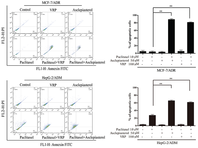 Asclepiasterol sensitizes MDR cells to apoptosis.