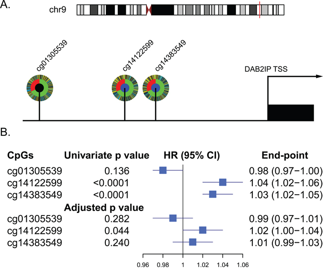 Relationship between CpGs located in the UTSS (upstream of the transcription start site) of DAB2IP and ccRCC patients survival in TCGA set (n=318).