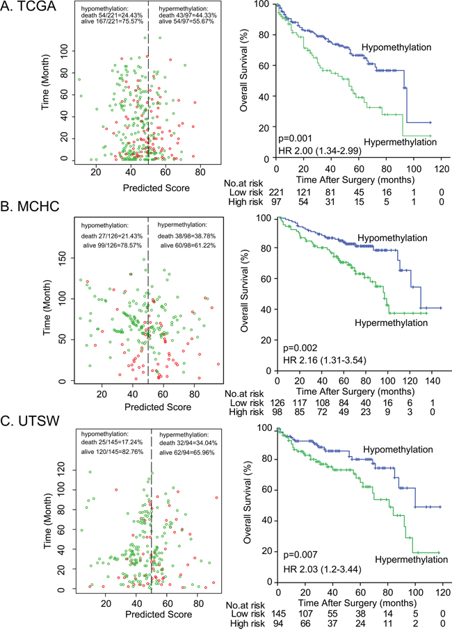 Risk classification by DAB2IP CpG1 and Kaplan-Meier survival in the three different sets.