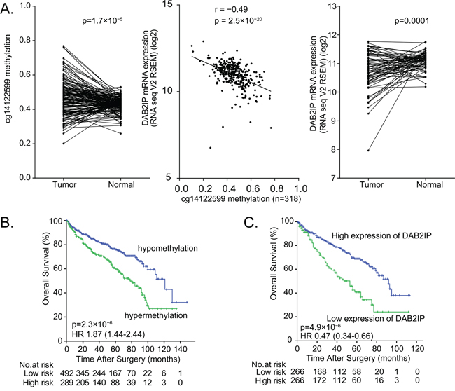 The prognosis value of DAB2IP CpG1 methylation and DAB2IP mRNA expression in ccRCC patients.