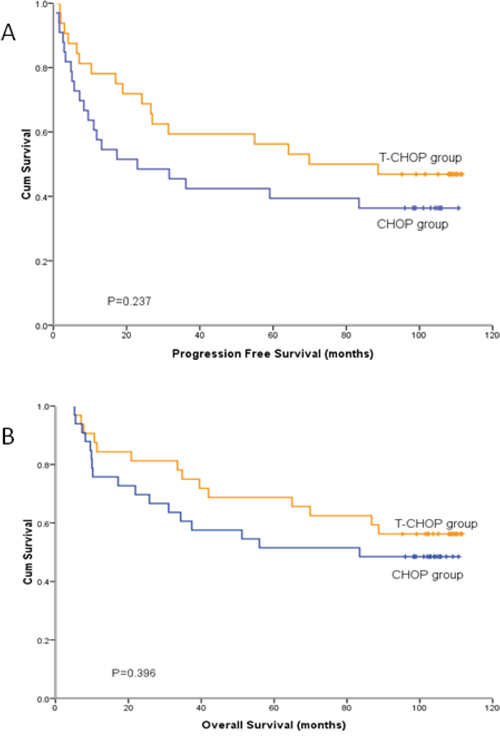 Progression free survival and overall survival curves of 65 patients with diffuse large B-cell lymphoma receiving T-CHOP and CHOP treatment.