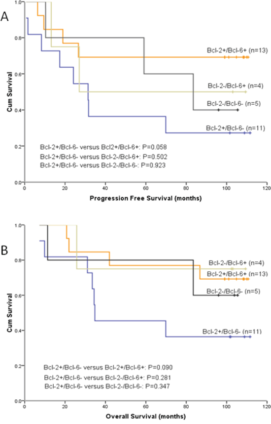 Patients with tumor tissue Bcl-2 positive and Bcl-6 negative (Bcl-2&#x002B;/Bcl-6-) have the worst outcomes.