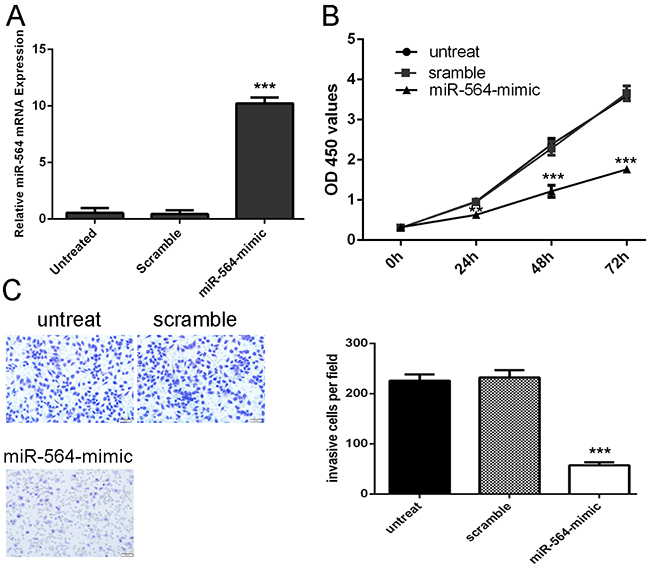 miR-564 Inhibits glioblastoma cell proliferation and invasion.