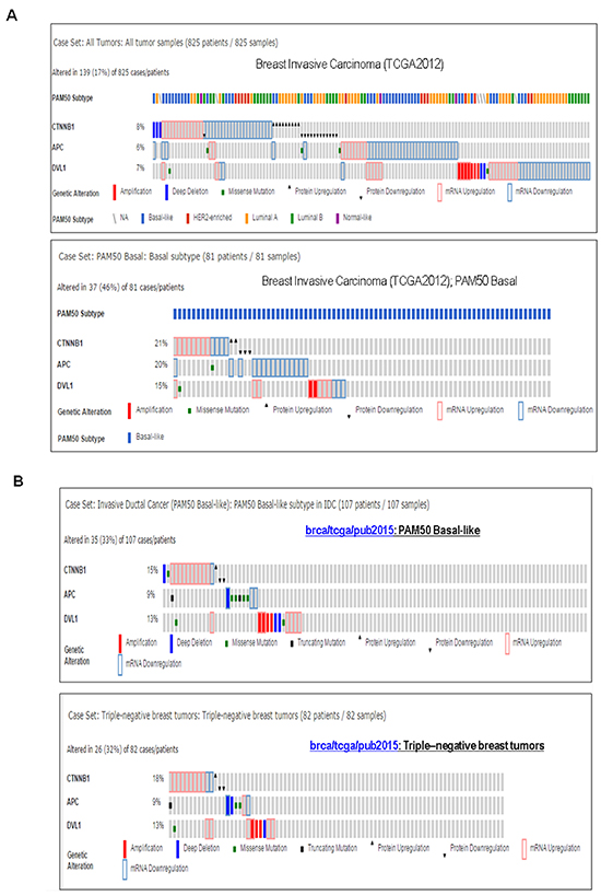Alterations of WP genes in TNBC and basal-like BC subtypes: