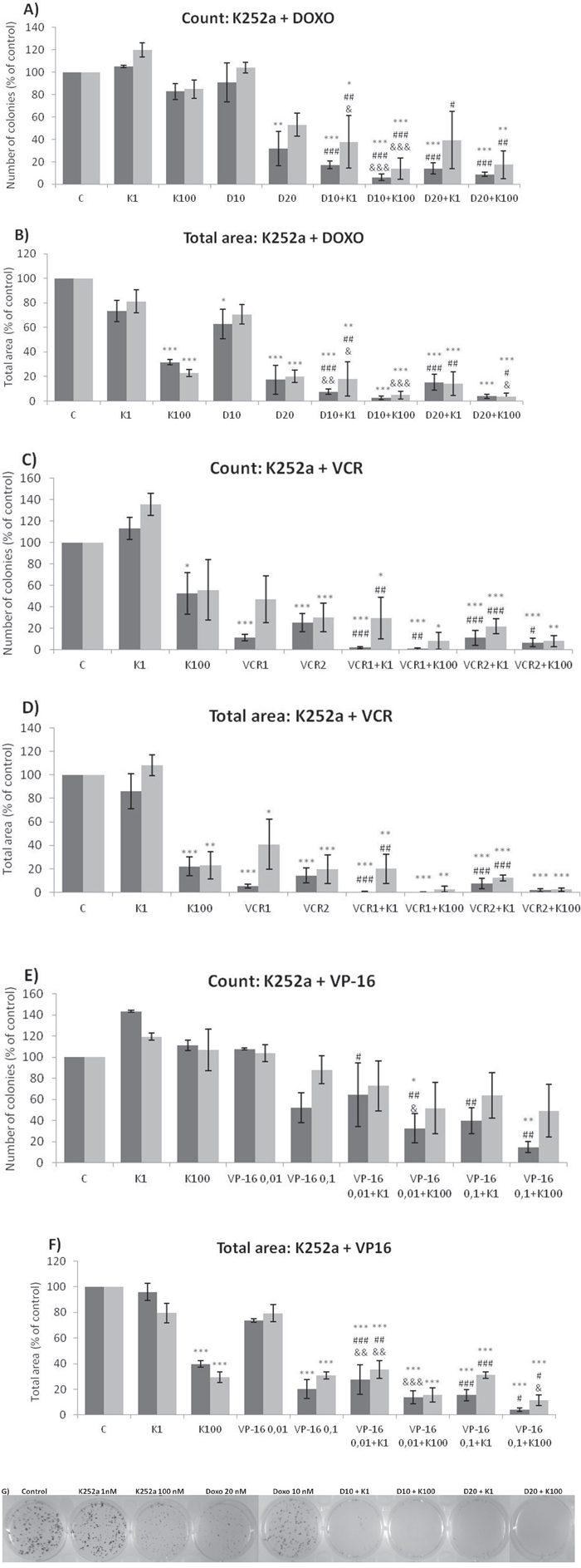K252a co-treatment with Doxo, VP-16, or VCR reduces ES cell colony formation.