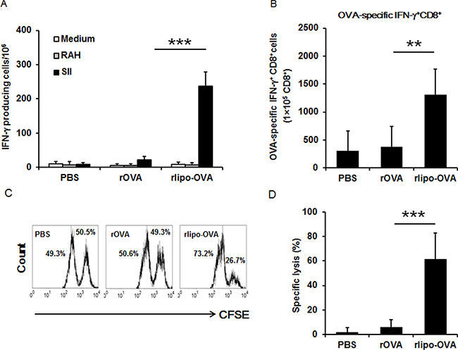 Immunization with rlipo-OVA induces higher levels of OVA-specific cytotoxic T cell responses compared to immunization with rOVA.