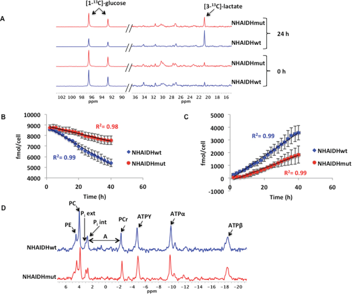 Figure 3: