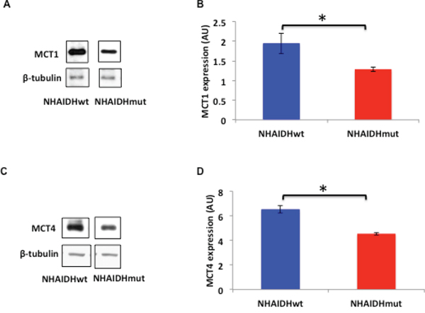 Figure 4: