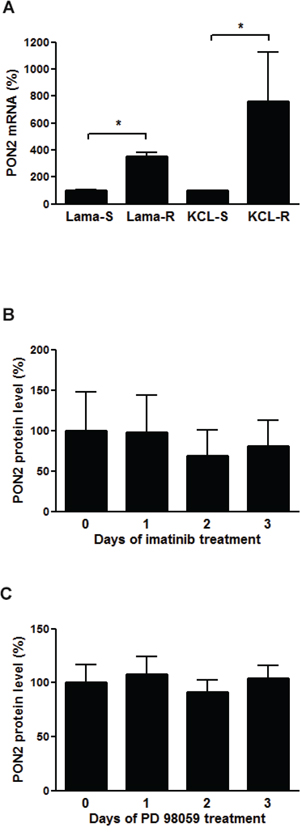 PON2 is highly overexpressed in Imatinib resistant cells, but neither Imatinib nor ERK have a direct effect on the expression.