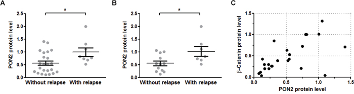 PON2 expression associated with relapse occurrence and &beta;-catenin levels in oral squamous cell tumors.