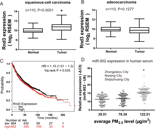 Rnd3 expression is up-modulated and unfavorable prognostic indicator in lung cancer.