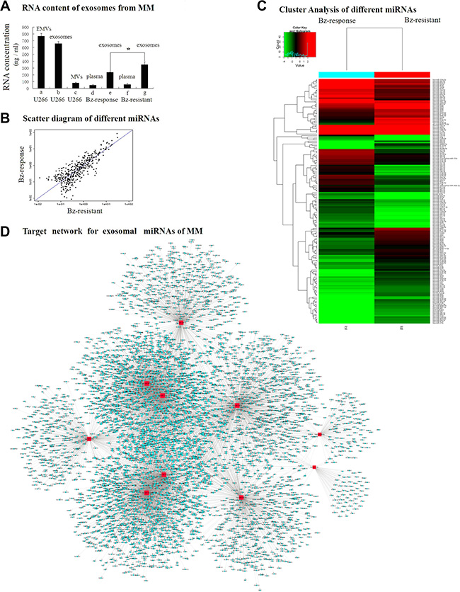 The differential expression of exosome-associated miRNAs in the subgroups of MM.