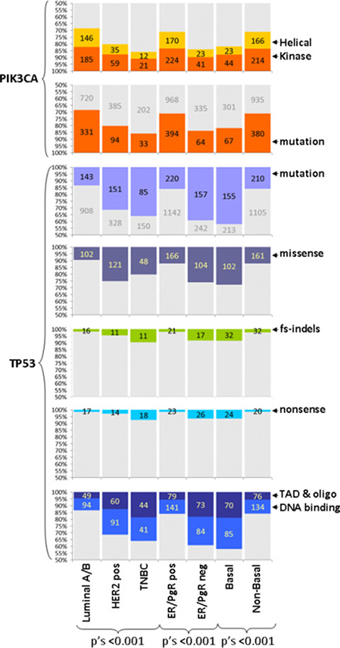 TP53 and PIK3CA mutation characteristics according to tumor subtypes.