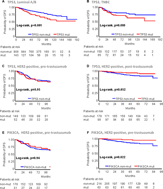 TP53 and PIK3CA mutation effects on early breast cancer patient DFS according to main disease subtypes and trastuzumab treatment.