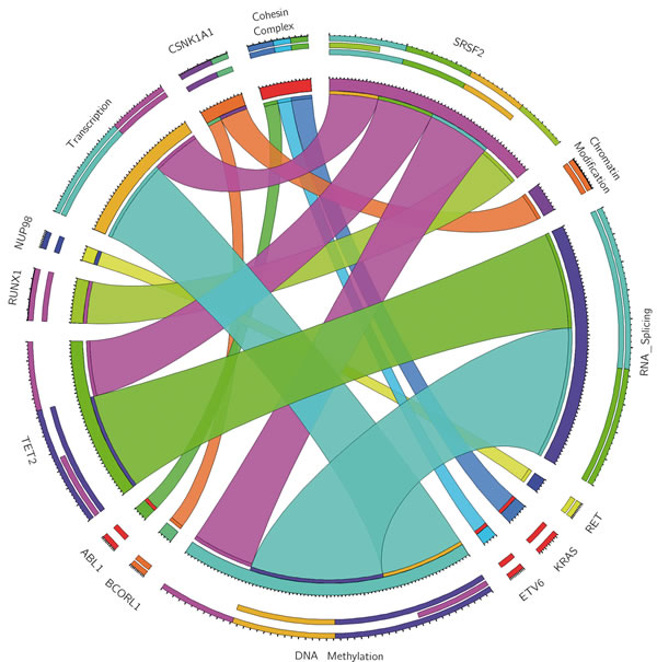 Circos plot of statistically significant associations among mutations in 70 MDS patients, grouped by functional pathways.