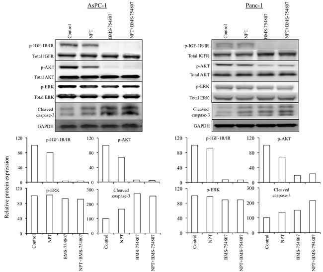 Nab-paclitaxel