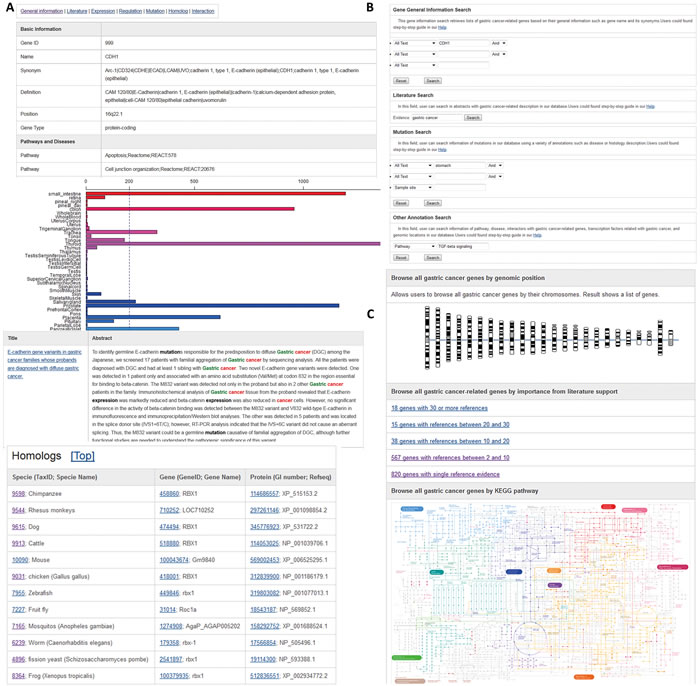 Web interface of GCGene.