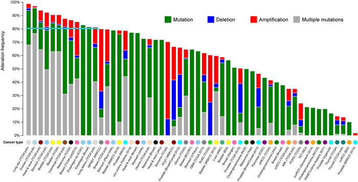 The mutational landscape for the 100 top-ranked GC-associated genes in multiple cancers.