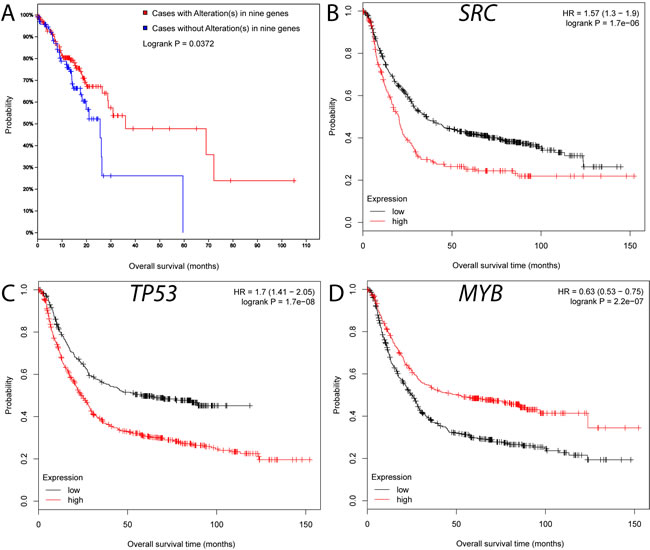 Survival analyses for the hub genes in the GC interactome.