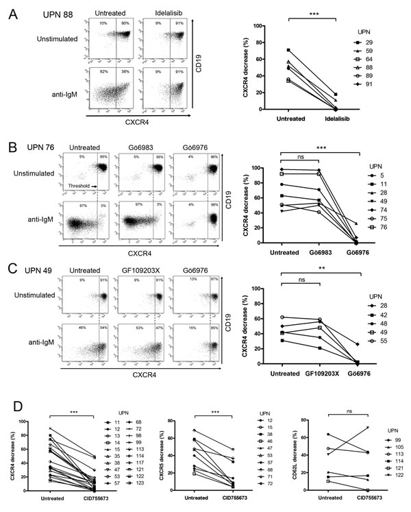 PI3K and PKD activities mediate BCR-dependent CXCR4/CXCR5 down-regulation but not CD62L release in CLL cells.