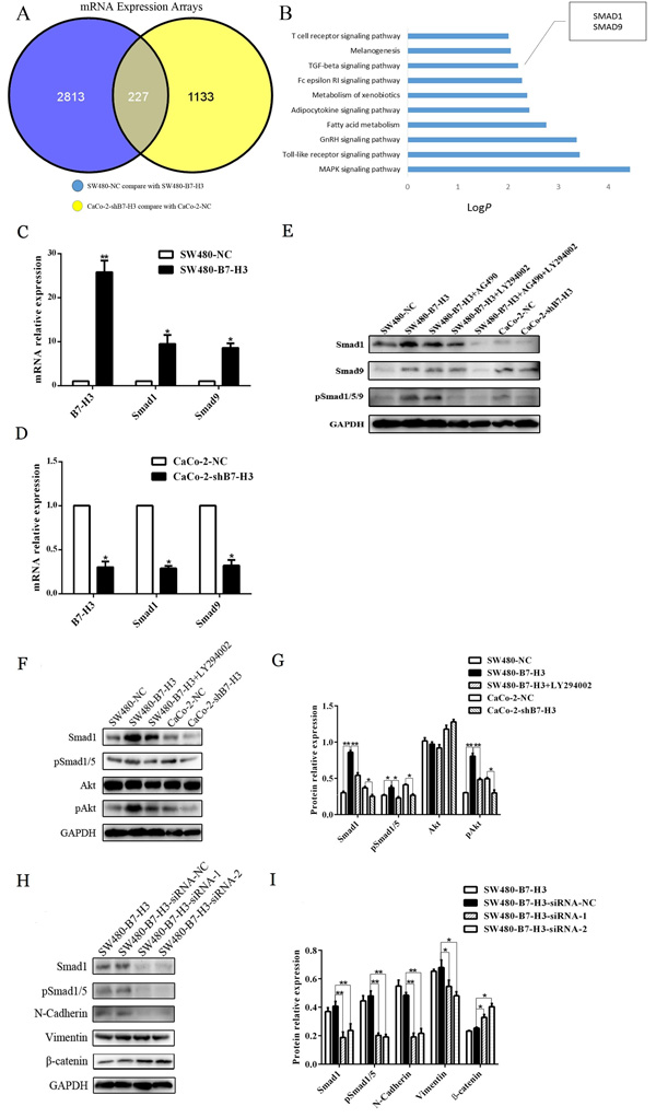 Figure 6: