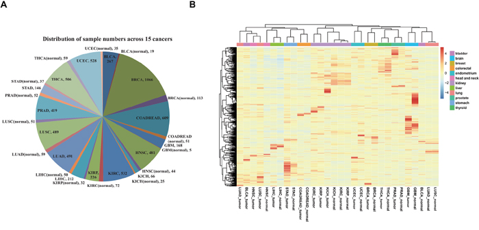 Overview of all specimens and lncRNAs.