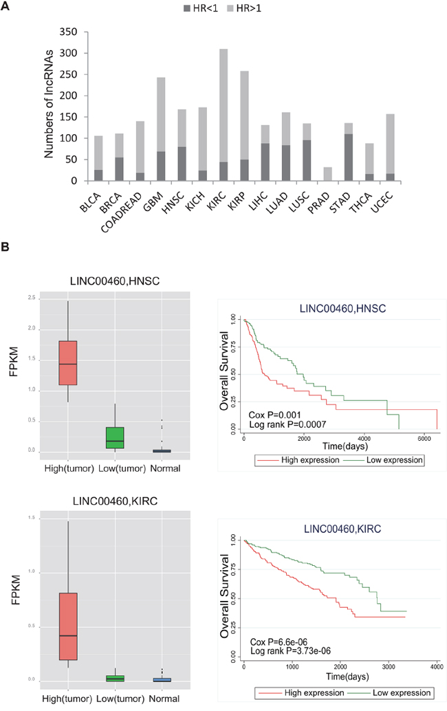 Evaluation of the prognostic power of lncRNAs.
