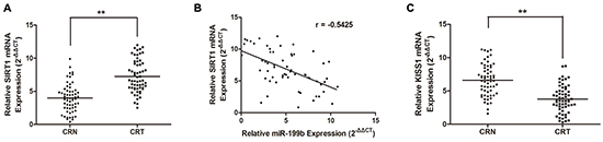 SIRT1 is upregulated while KISS1 is downregulated in CRC tissues and SIRT1 is antagonistically associated miR-199b expression.