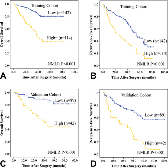Kaplan-Meier estimates of recurrence-free survival (RFS) and overall survival (OS) based on peripheral neutrophil and monocyte to lymphocyte ratio (NMLR) in HCC patients after curative resection in the training (A and B) and validation cohorts (C and D).
