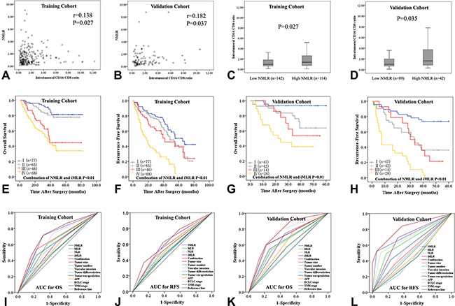 The correlation between peripheral neutrophil and monocyte to lymphocyte ratio (NMLR) and intratumoral CD16/CD8 ratio (iMLR) in the training (A) and validation cohorts (B).