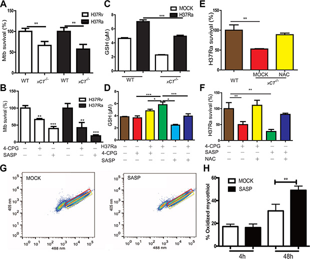 Disruption of xCT enhances macrophages to control mycobacterial infection.