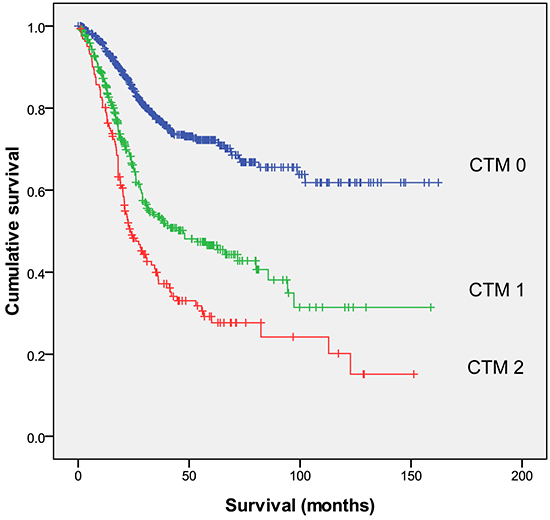 Relationships among the three CTM groups (CTM 0, CTM 1 and CTM 2, from top to bottom) and overall survival.