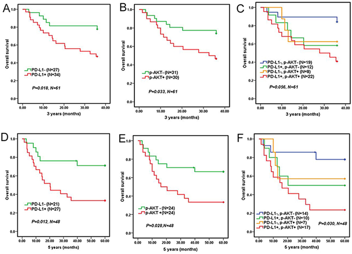 Overall survival of 61 DLBCL patients who adopted CHOP/CHOPE regiment according to PD-L1 and p-AKT expression.