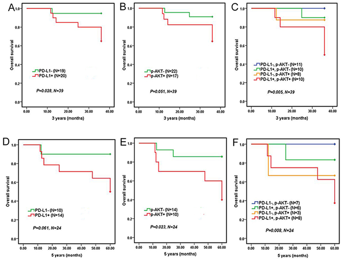 Overall survival of 39 DLBCL patients who adopted R-CHOP regiment according to PD-L1 and p-AKT expression.