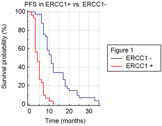Progression free survival (PFS) in ERCC1+ versus ERCC1- population.