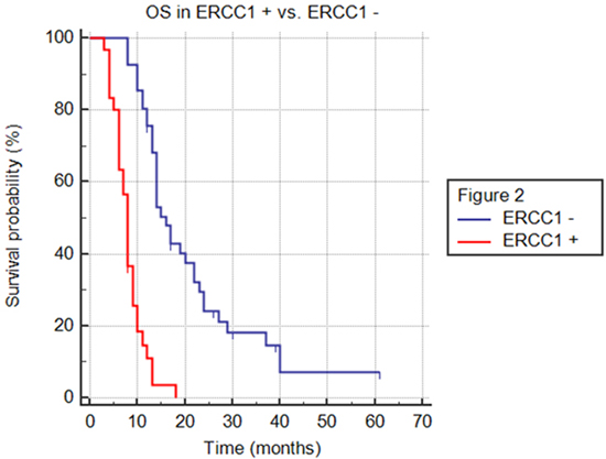 Overall survival (OS) in ERCC1+ versus ERCC1- population.