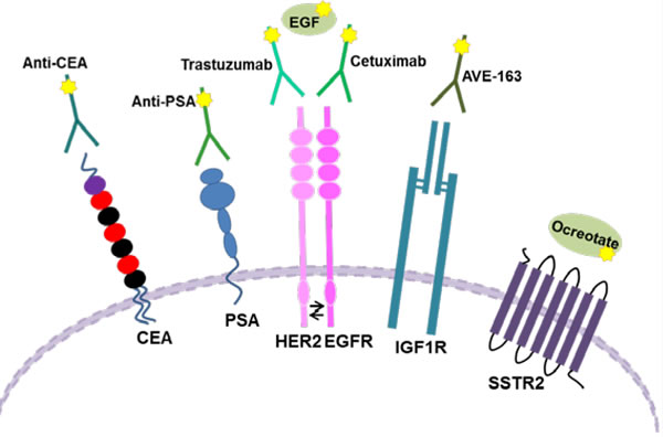 Schematic representation of different Tumor Cell Biomarkers.